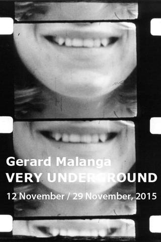 Gerard Malanga's Film Notebooks poster