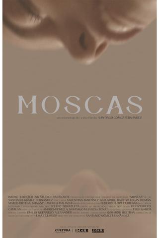 Moscas poster