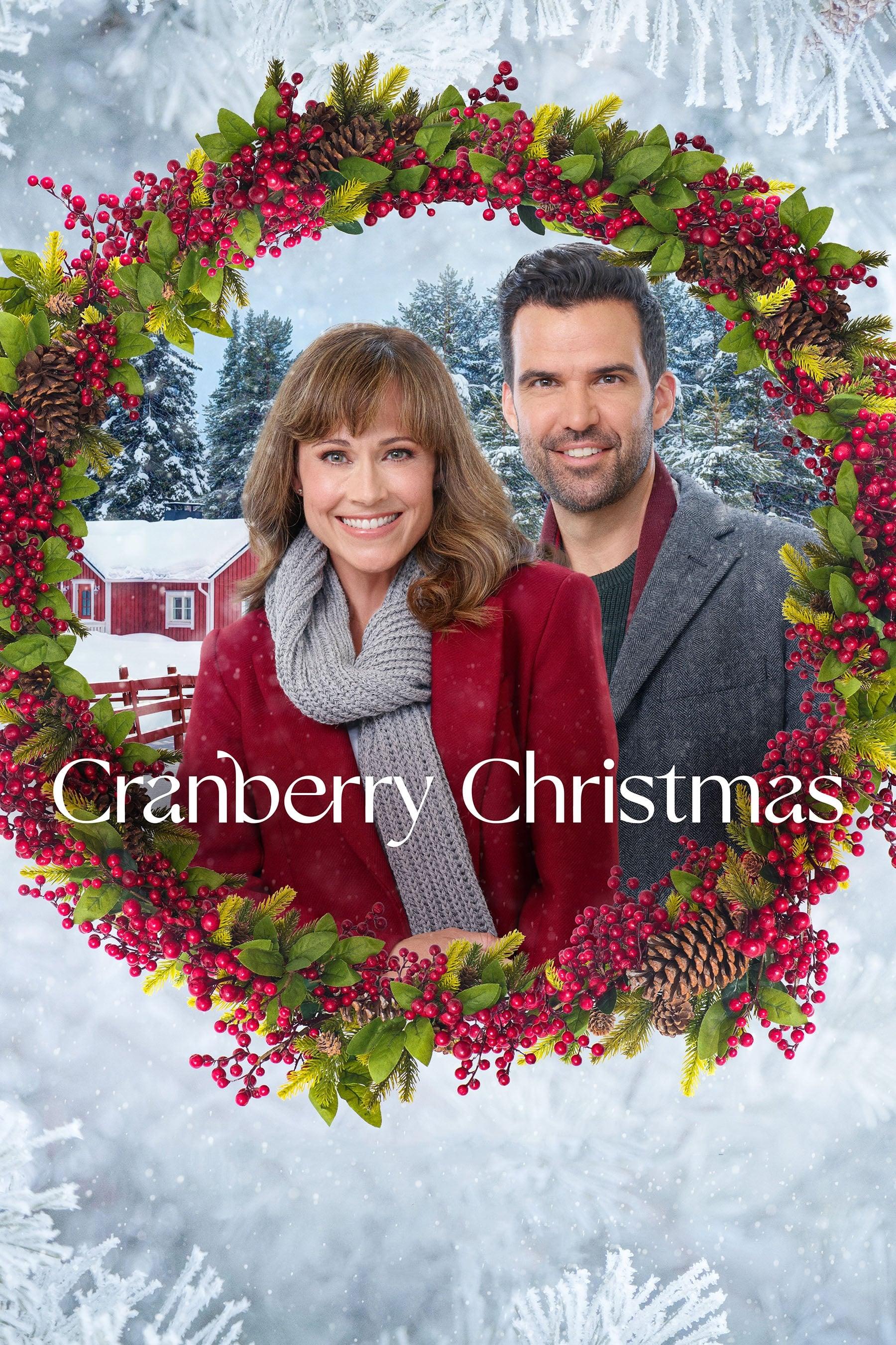 Cranberry Christmas poster