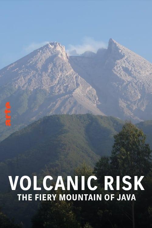 Java in Jeopardy - Exploring the Volcano poster