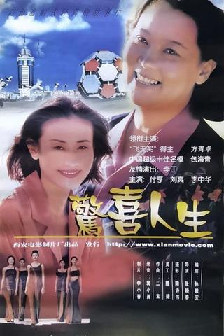 惊喜人生 poster