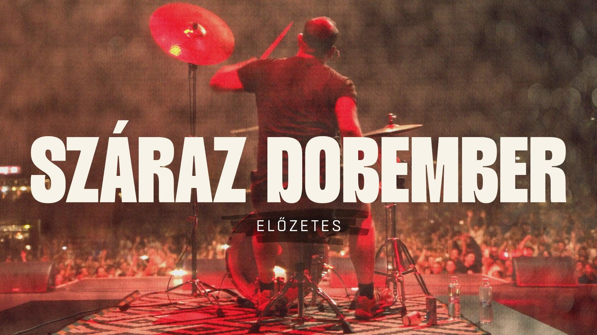 Száraz dobember - Pándi Balázs portréfilm [Még senkinek sem omlott össze az élete attól, hogy leállt] backdrop