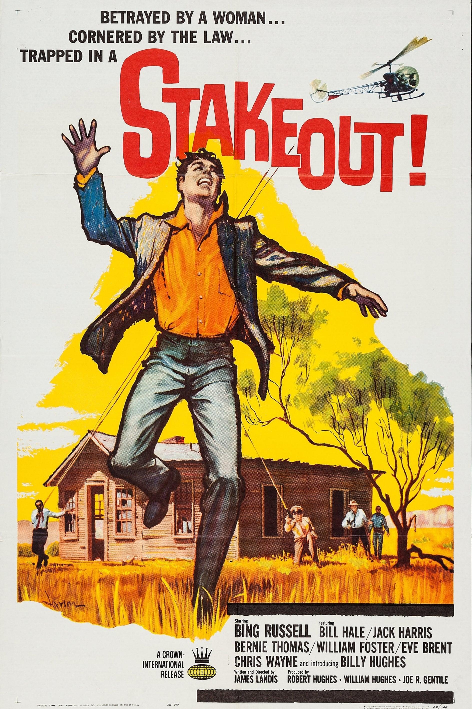 Stakeout! poster