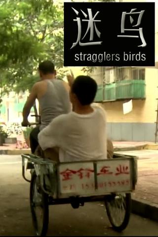 Stragglers Birds poster