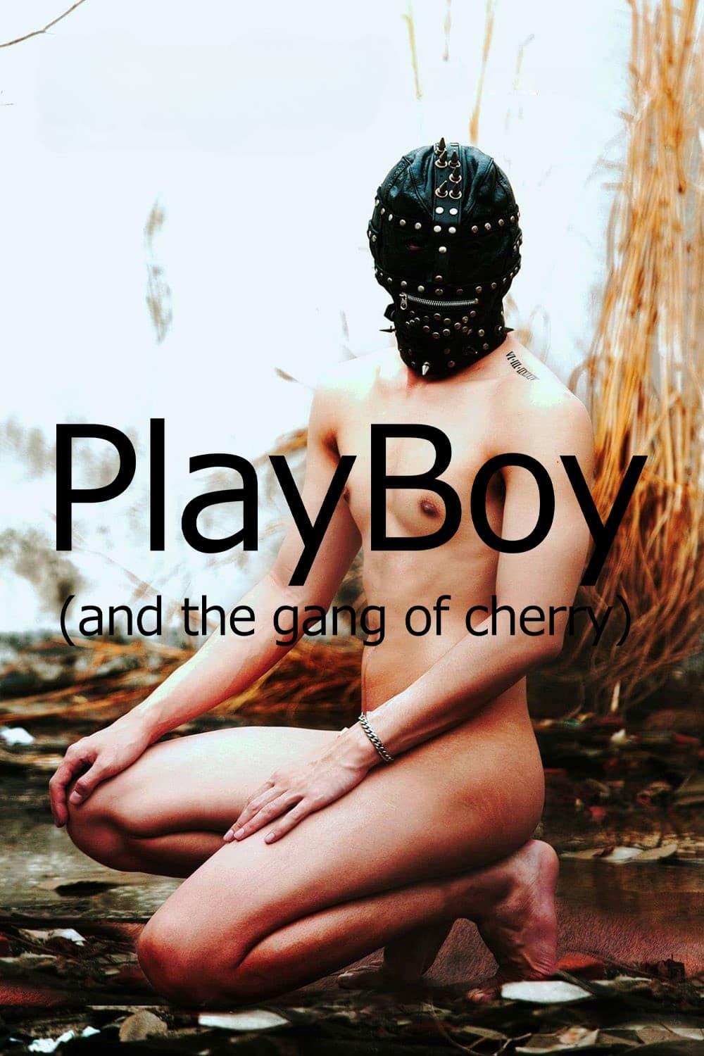 PlayBoy (and the Gang of Cherry) poster