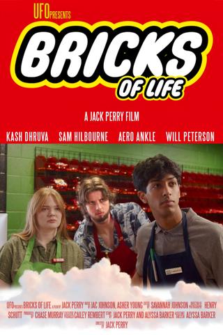 Bricks of Life poster