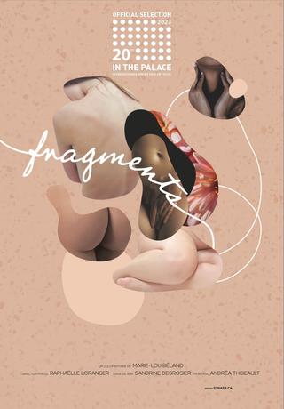 Fragments poster