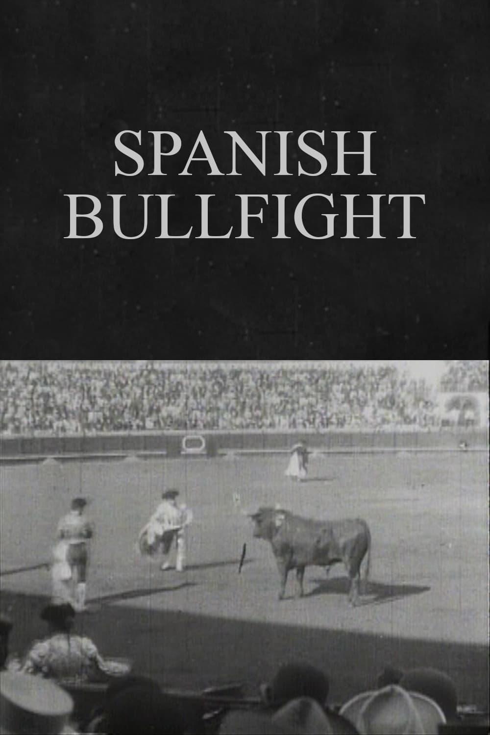 Spanish Bullfight poster