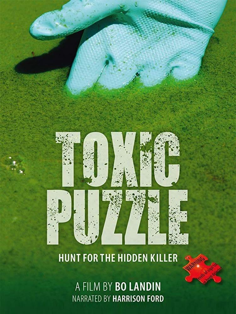 Toxic Puzzle poster