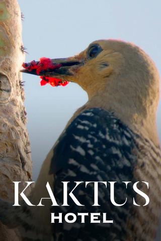 Kaktus Hotel poster