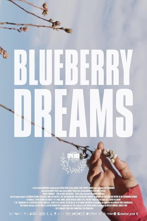 Blueberry Dreams poster