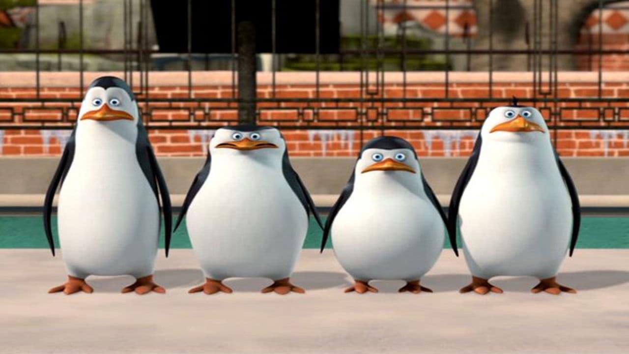 The Penguins of Madagascar: New to the Zoo backdrop