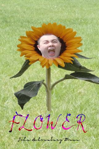 Flower poster