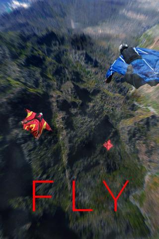 Fly poster