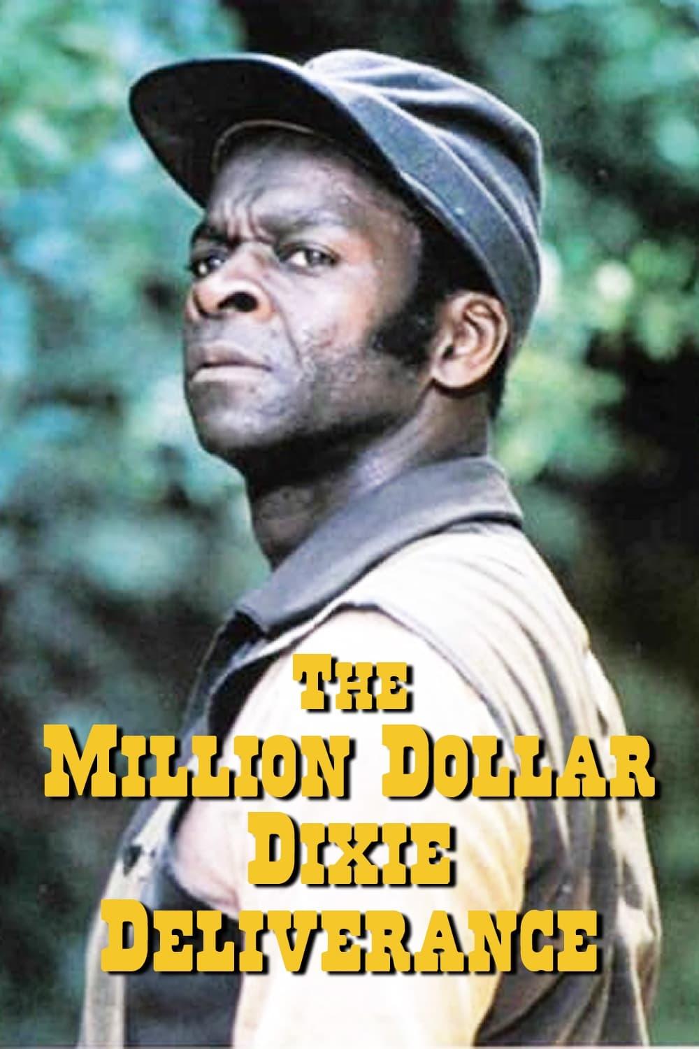The Million Dollar Dixie Deliverance poster
