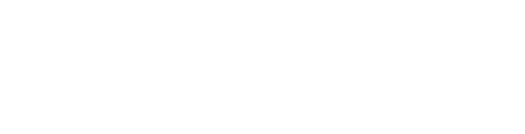 Lost in America logo