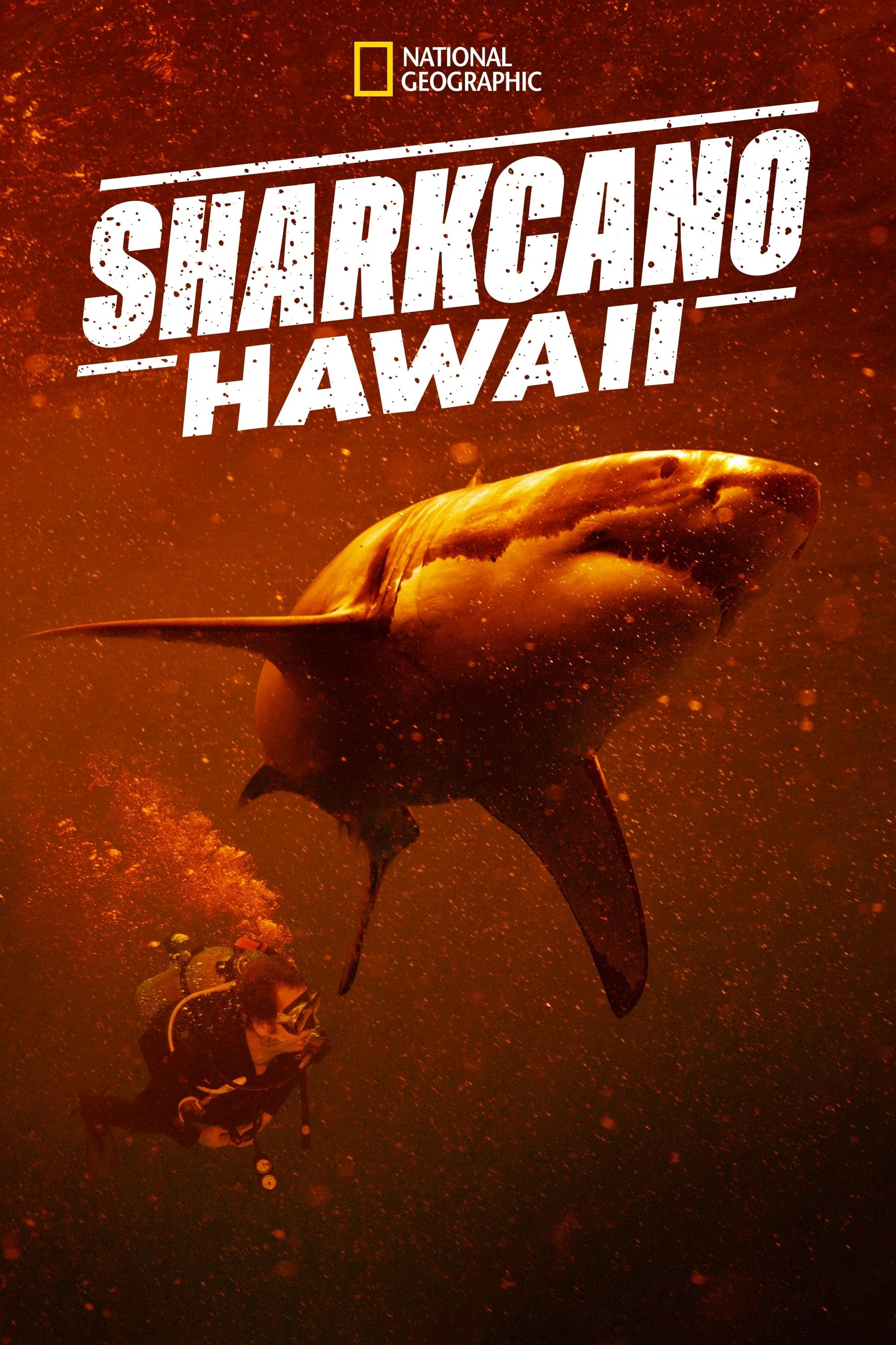 Sharkcano: Hawaii poster