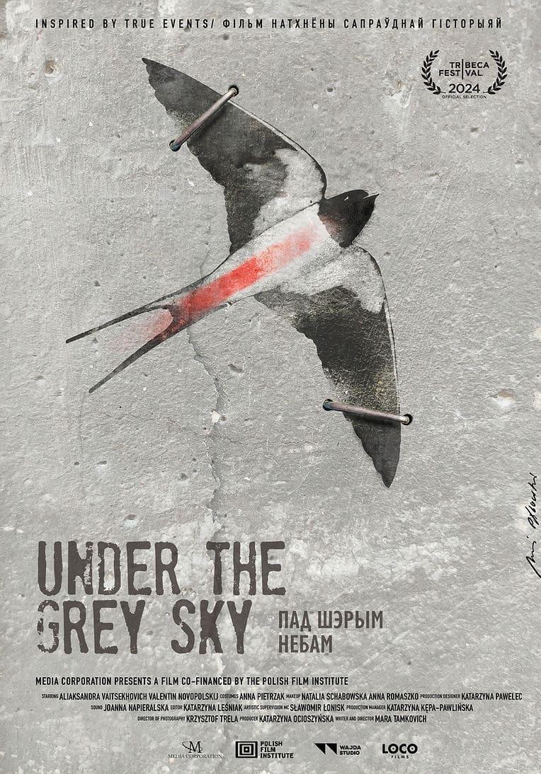 Under the Grey Sky poster