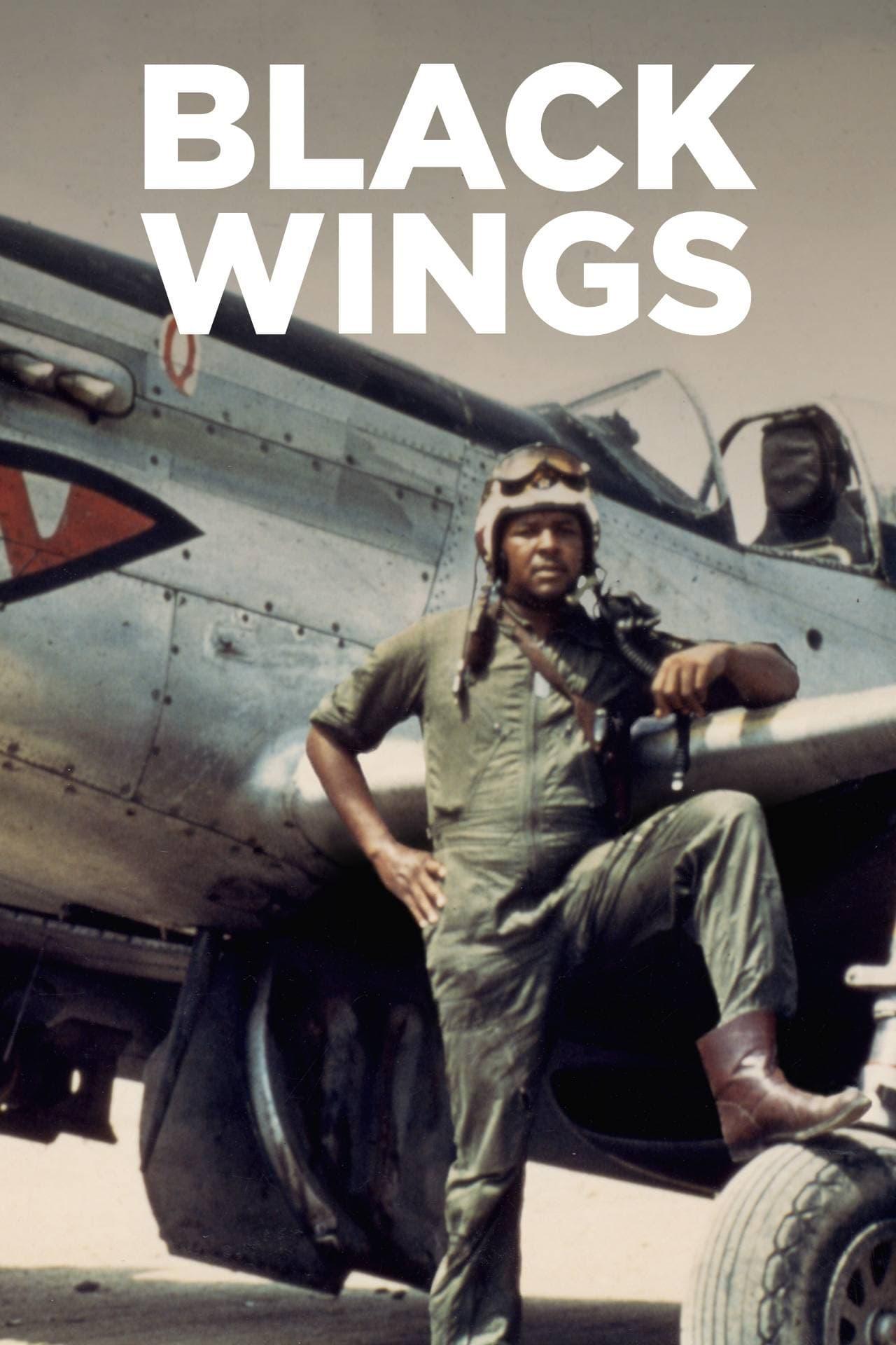 Black Wings poster