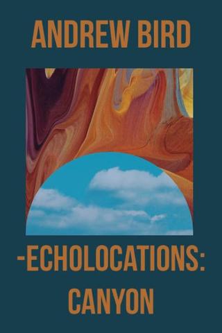 Echolocations: Canyon poster