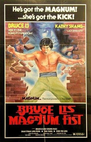 Bruce Li's Magnum Fist poster