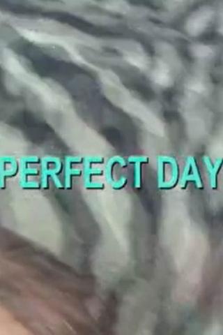 Perfect Day poster