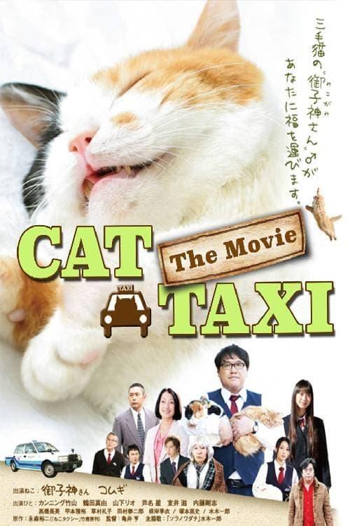 Cat Taxi poster