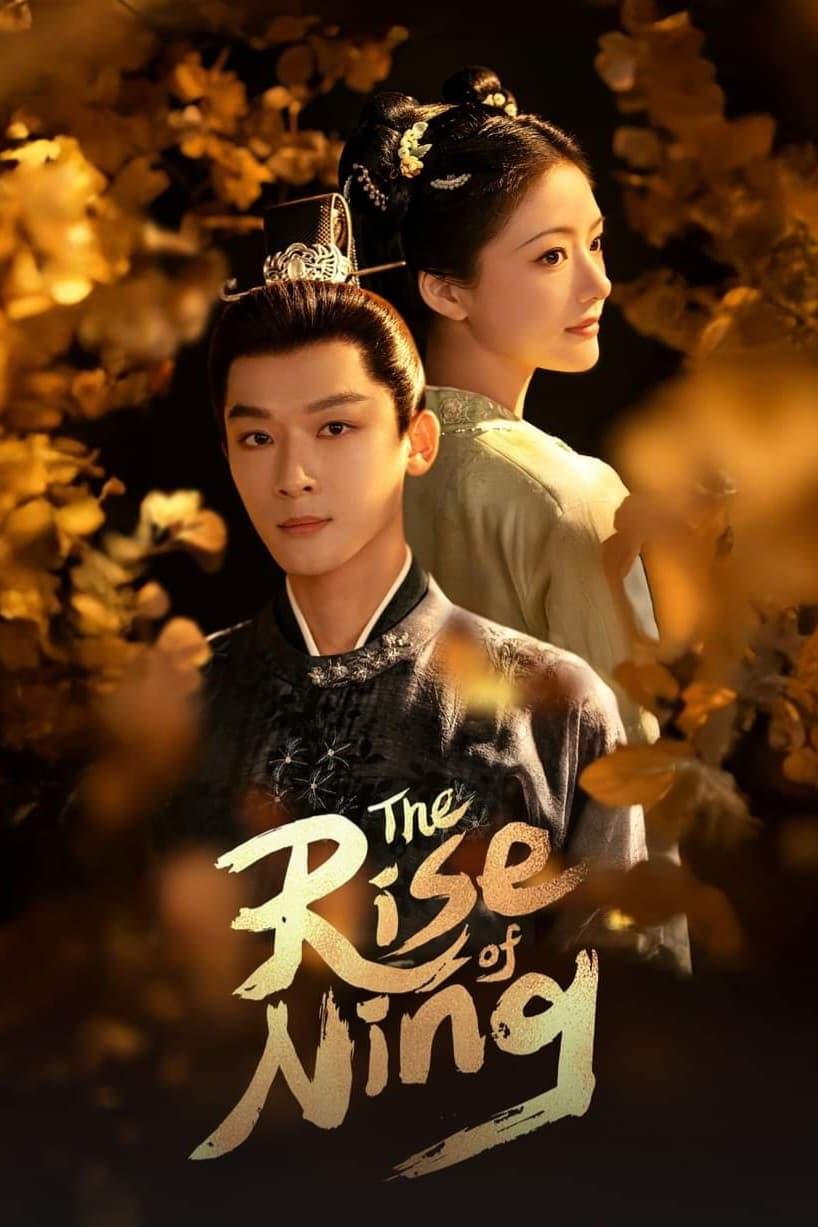 The Rise of Ning poster