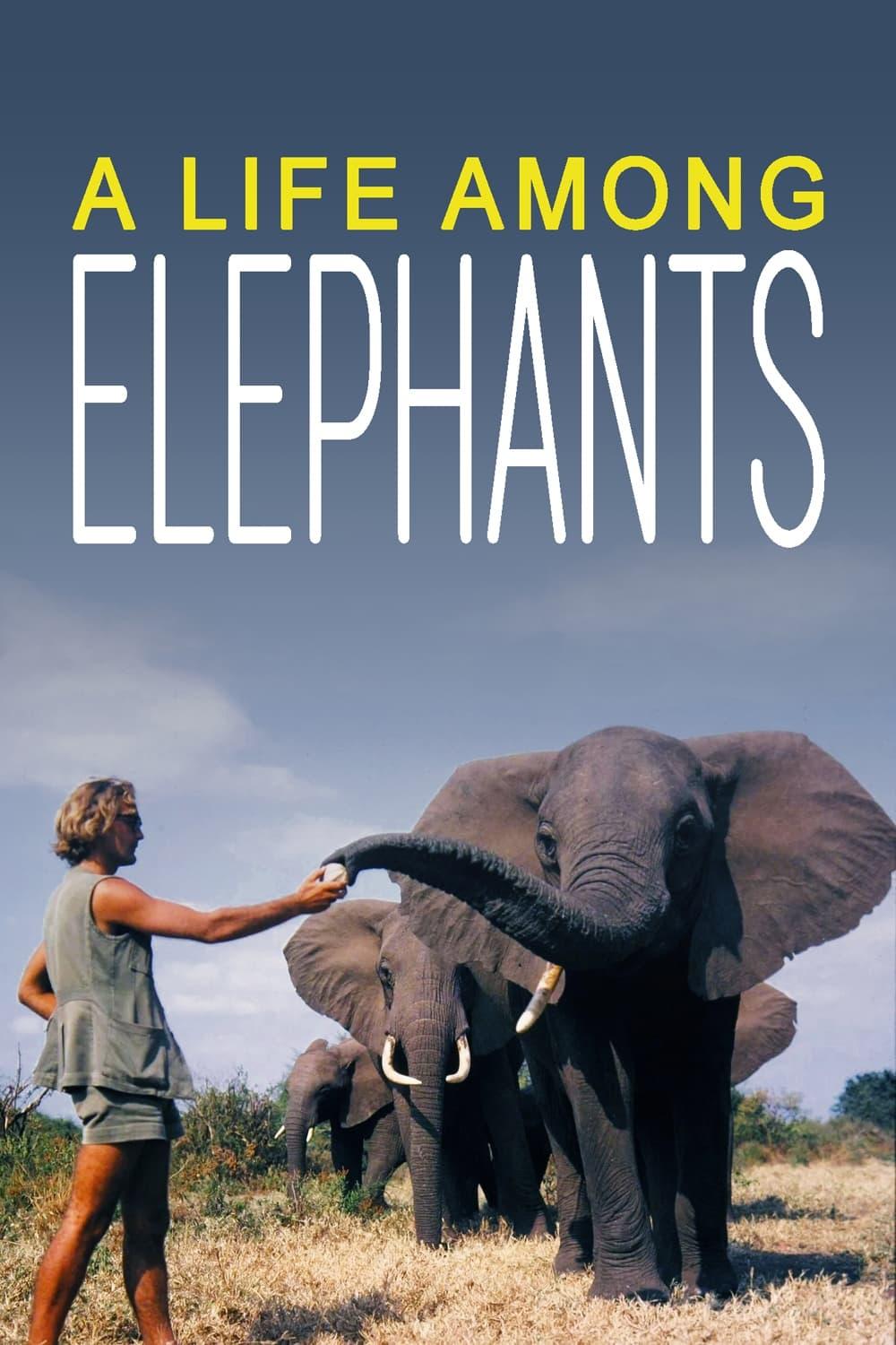 A Life Among Elephants poster