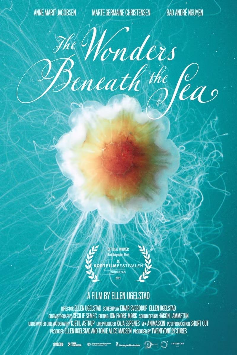 The Wonders Beneath the Sea poster