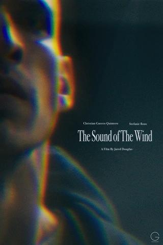 The Sound of the Wind poster