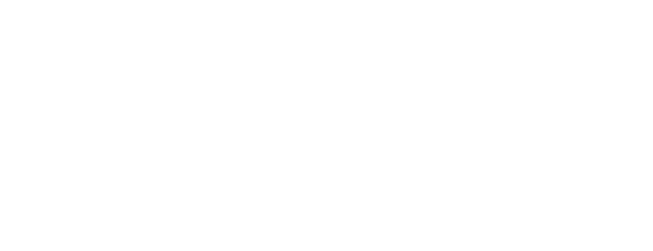 King of the Belgians logo