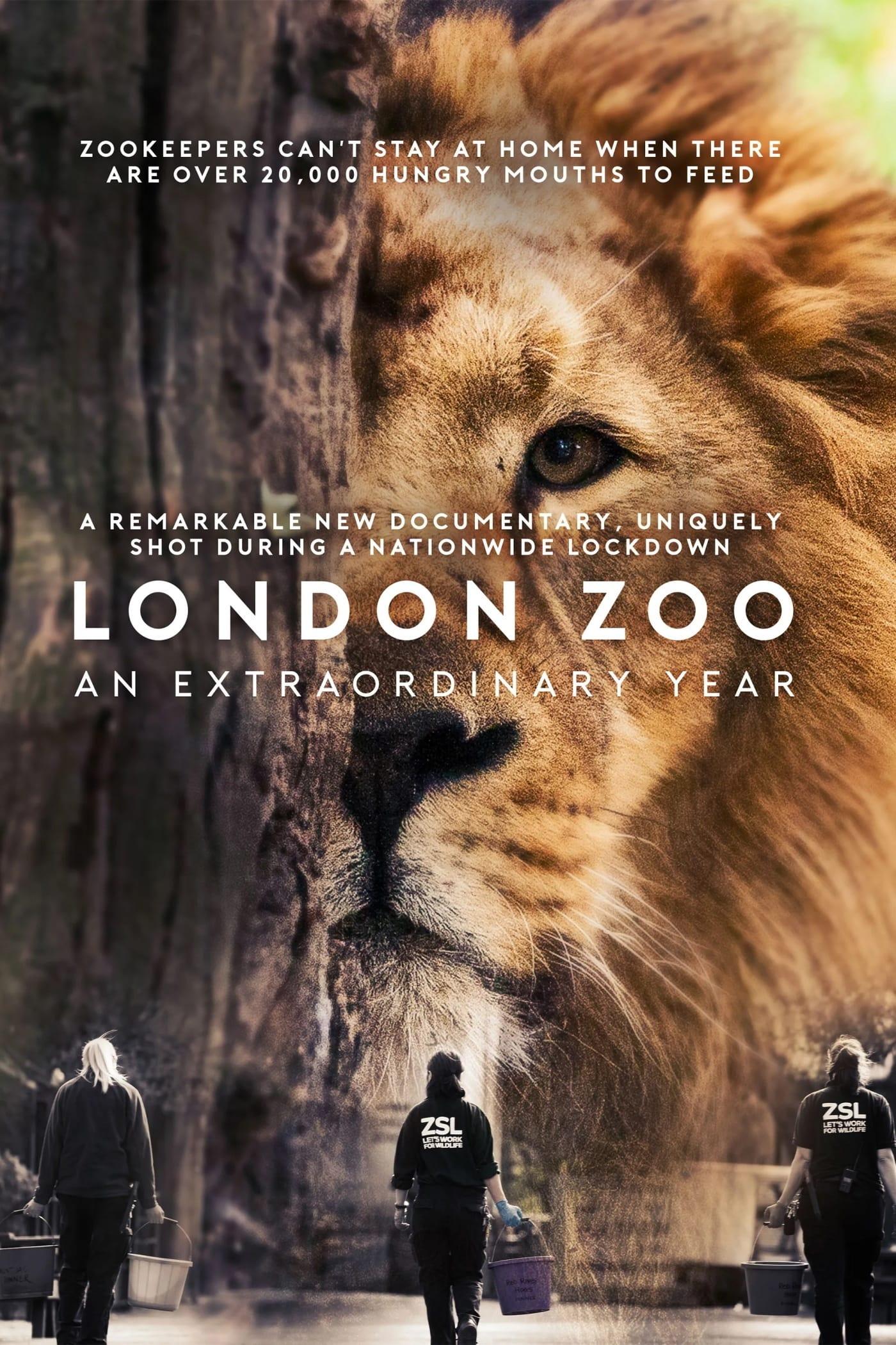 London Zoo: An Extraordinary Year poster