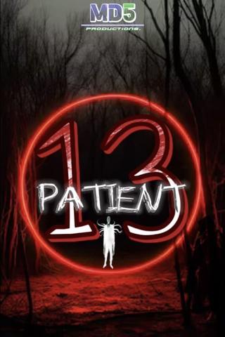 PATIENT 13 poster