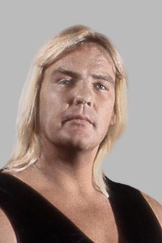 Barry Windham pic