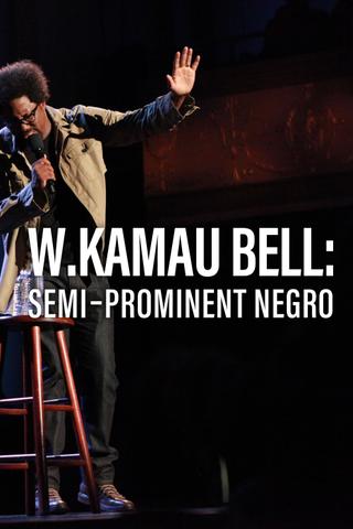W. Kamau Bell: Semi-Prominent Negro poster
