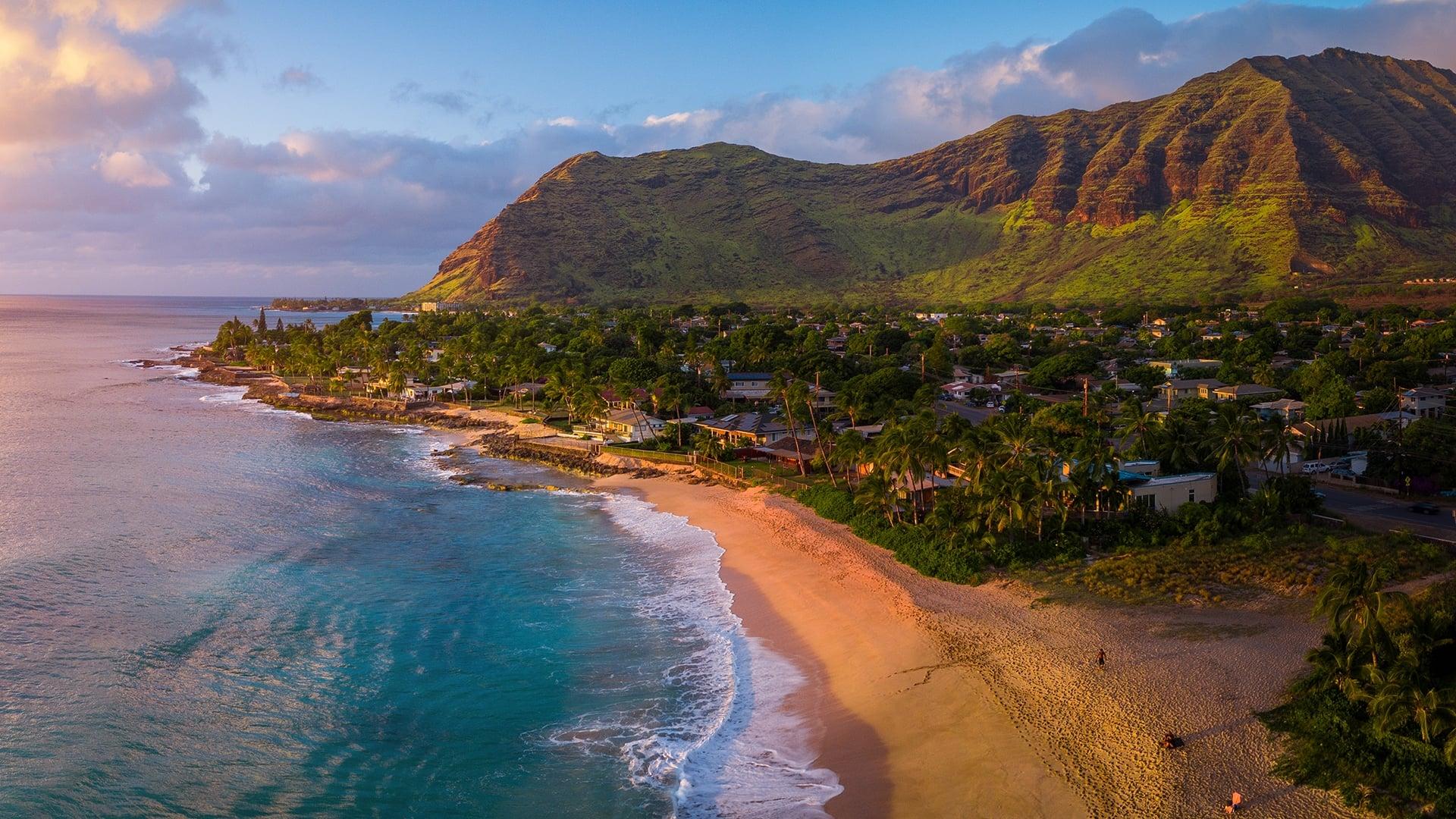 Wild Hawaii backdrop