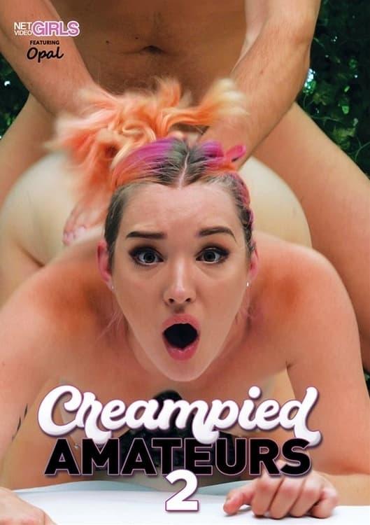 Creampied Amateurs 2 poster