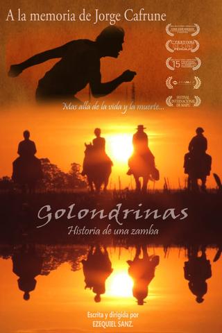 Golondrinas, historia de una zamba poster