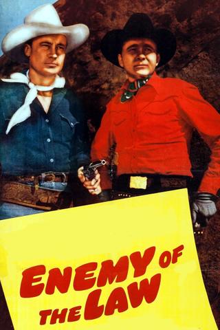 Enemy of the Law poster