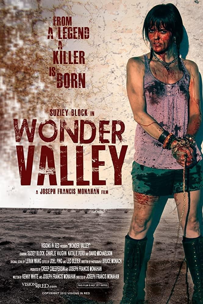 Wonder Valley poster
