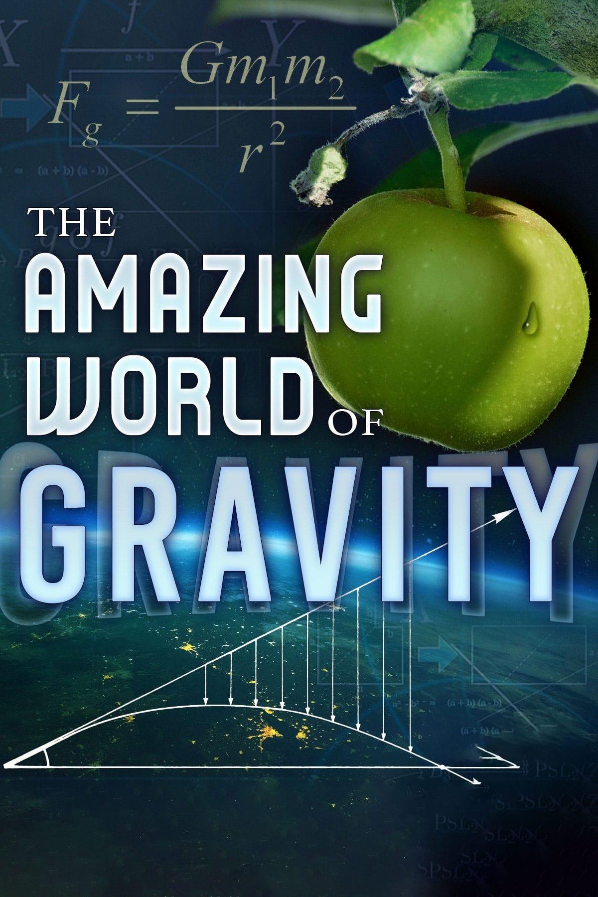 The Amazing World of Gravity poster