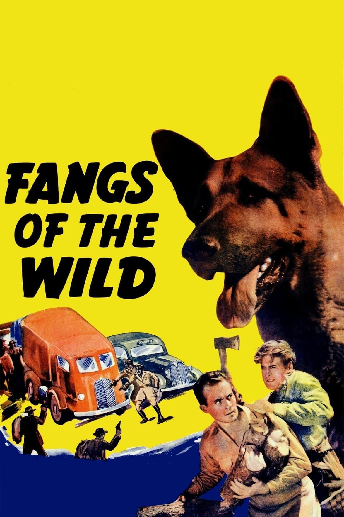 Fangs of the Wild poster