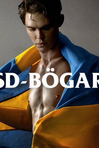 SD-Bögar poster