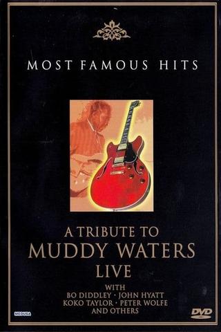 A Tribute to Muddy Waters - Live poster