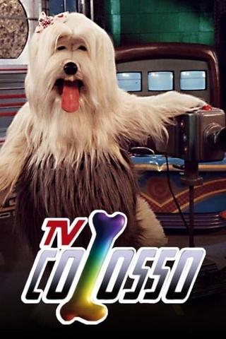 TV Colosso poster