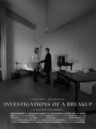 Investigations of a Breakup poster