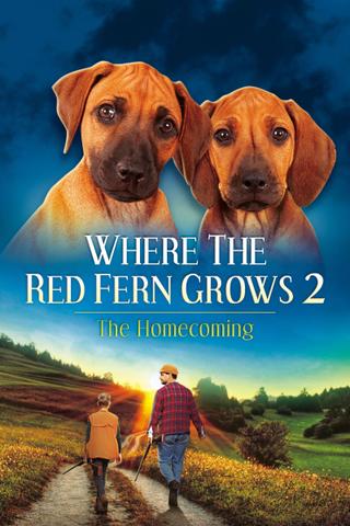 Where The Red Fern Grows Part 2 poster