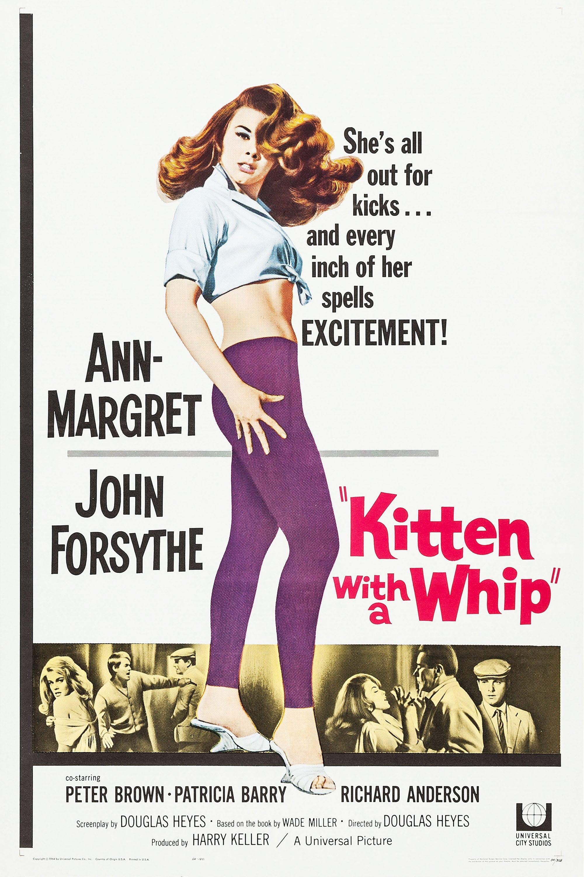 Kitten with a Whip poster