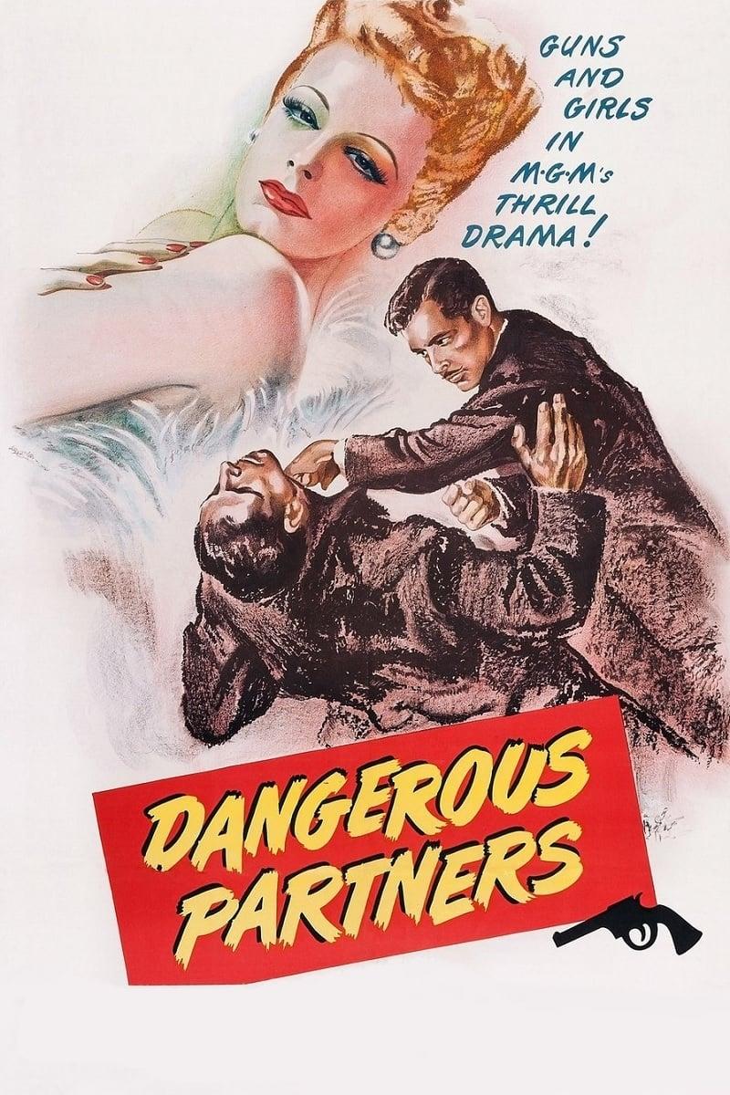 Dangerous Partners poster